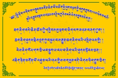 ྋགོང་ས་མཆོག་དགུང་གྲངས་༩༠ལ་ཕེབས་པའི་སྐུའི་འཁྲུངས་སྐར་འཚམས་འདྲི།
