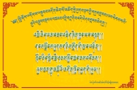 ྋགོང་ས་མཆོག་དགུང་གྲངས་༩༡ལ་ཕེབས་པའི་སྐུའི་འཁྲུངས་སྐར་འཚམས་འདྲི།